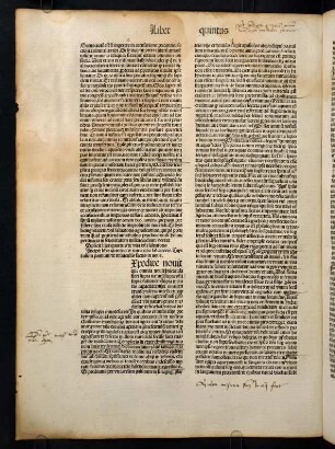 Liber quintus De miraculis Salvatoris
