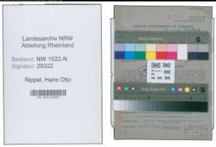 Entnazifizierung Hans Otto Nippel , geb. 29.10.1898 (Vertreter)