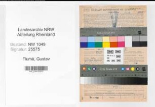 Entnazifizierung Gustav Flumé , geb. 02.11.1890 (Versicherungsangestellter)