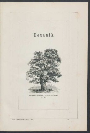 Botanik.