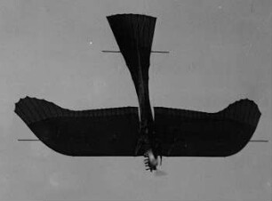 Rumpler Taube im Flug : Technikgeschichte | Fliegende Menschen | Flugzeuge | Moderne Flugzeuge und ihre Einrichtungen