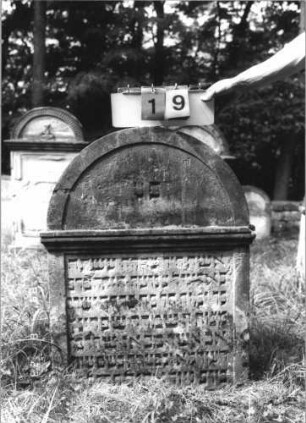 Grabstein 19 (Index: 100110922) Material: Sandstein Zustand: leicht verwittert mit geringem Textverlust, unten abgebrochen Maße HxBxT: 98x77x14 cm Beschreibung: Stele, abgesetzter Rundbogenabschluß, Schriftfelder eingetieft: Grabstein 19
