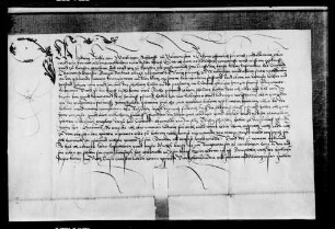 Ludwig Rücker von Waiblingen, seßhaft zu Neustadt, verkauft an den Frühmesser auf dem Barbaraalter zu Waiblingen, genannt die Neue Frühmesse, einen Krautgarten um 6 Pfund 10 Schilling Heller.