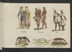Mongolen. Kariben. Neger. Der Ameisenfresser. Das Hermelin. Das Schuppenthier