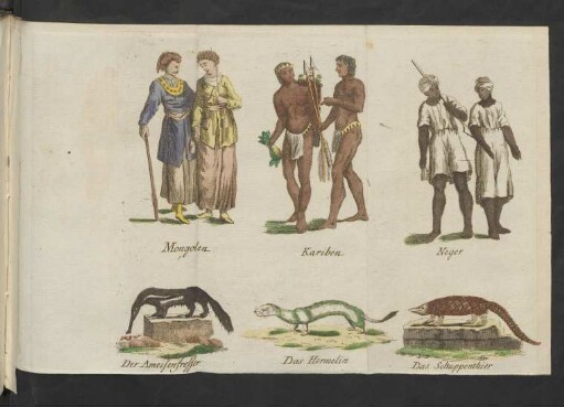 Mongolen. Kariben. Neger. Der Ameisenfresser. Das Hermelin. Das Schuppenthier