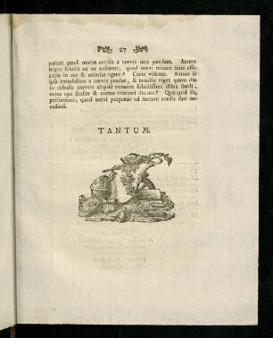 28, Annotation