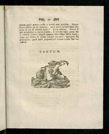 28, Annotation