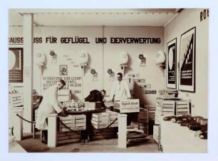 Dresden. Internationale Hygieneausstellung 1930/1931. Gruppe "Landwirtschaft". Ausstellungsraum mit Eiersortiermaschine