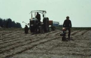 Fotografie: Säverfahren, Einzelkornsaat, Mais, Mulchsaat, Zwischenfrucht, Streifenfräse, Feldtest