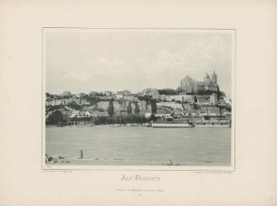 "Alt Breisach" am Rhein