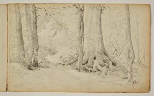 Waldstudie
