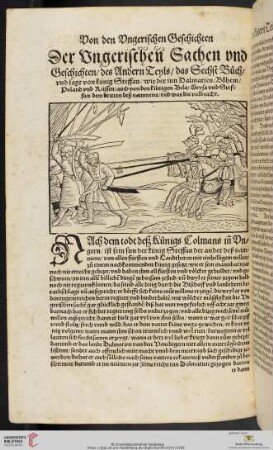Der Vngerischen Sachen vnd Geschichten, des Andern Teyls, das Sechst Buch