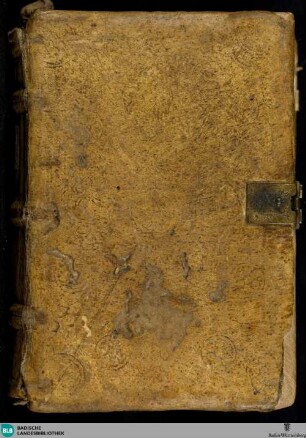 Psalterium non feriatum - Cod. Lichtenthal 43