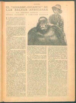El "hombre-gigante" de las selvas africanas : Los últimos gorilas. - Fuerza pavorosa y caracter pacífico