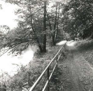 Colditz. Zwickauer Mulde. Promenade am östlichen Ufer