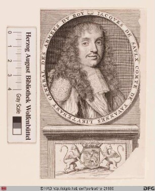 Bildnis Jacques de Saulx, comte de Tavannes