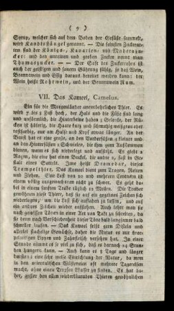VII. Das Kameel, Camelus.