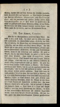 VII. Das Kameel, Camelus.