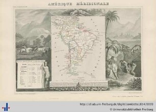 Amérique Méridionale.