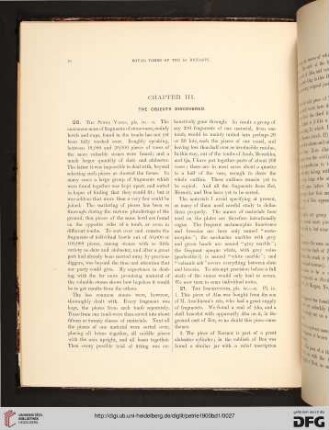 III: The Objects Discovered