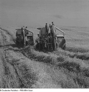 Landwirtschaft