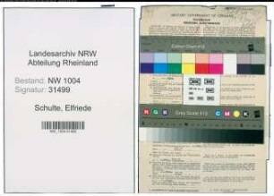 Entnazifizierung Elfriede Schulte , geb. 15.04.1904 (Postassistentin)
