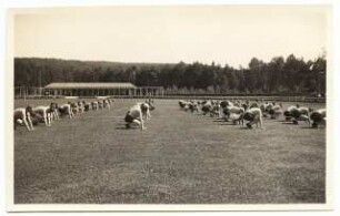 Gartenanlage Stadion Sachsenring, Bad Elster: Sportfeld mit Sportlern bei einer Vorführung