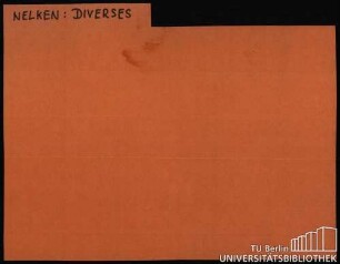 NELKEN: Diverses ABB.-ZWERG