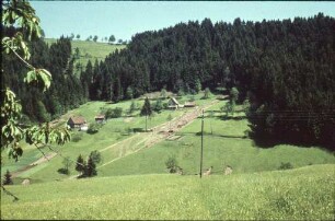 Flurschäden an der Straße bei Kirnbach.