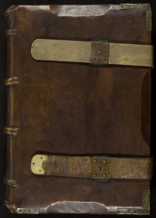 Bibliorum sacrorum pars : Ms. Diez. C fol. 65