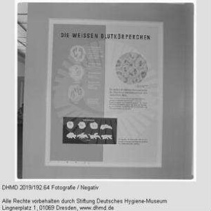 Nationale Hygiene-Ausstellung - Raum 10 - "Die weissen Blutkörperchen"