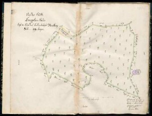 "Geometrische Risse über sämtliche Kameralwaldungen des Blaubeurer Oberforsts. Neueres Buch"