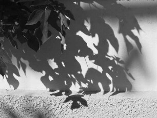 0655_Korfu_SW