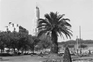 Reisefotos Argentinien. Stadtbilder Buenos Aires. Stadtteilansicht mit Palme und Hochhaus