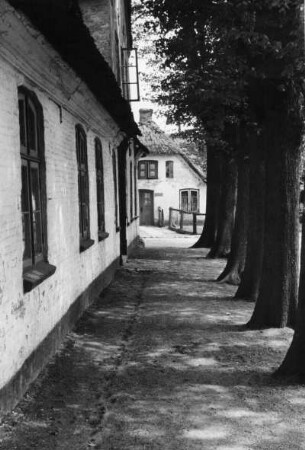 Altes Bauernhaus im Schutz der Linden, Stapelholm, Schlei- und Eidermündung