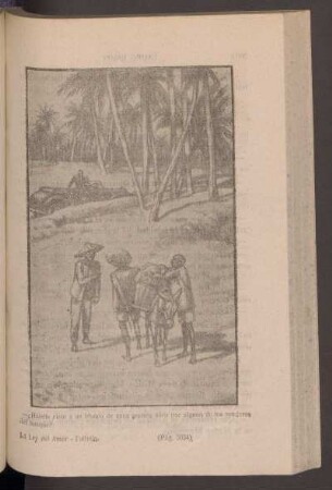 - ¿Habeís visto a un blanco de unos sesenta años por alguno de los senderos del bosque? - [Ilustración]