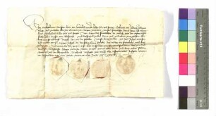 Ludwig, Johann, Ulrich und Wilhelm Grafen von Öttingen an Graf Kraft von Hohenlohe: Schuld gegen Erpf von Ahelfingen.