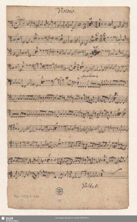 Violono.