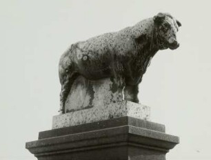 Dresden-Friedrichstadt, Schlachthofring. Rinderplastik auf einer Brunnenstele (1906/1910; Bronze, Sandstein; G. Wrba)