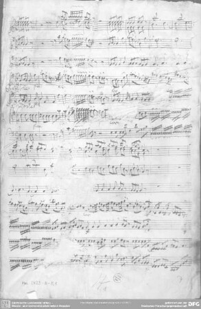 Symphonies - Mus.2423-N-6,1 : orch - G; FaWV M:G1