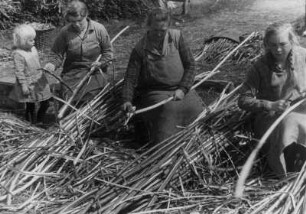 Hetlingen/Unterelbe. Bandreißer, Weidenruten für Fassreifen werden geschält. 1934 : Hetlingen/Unterelbe. Bandreißer schälen Weidenruten für Fassreifen. Die gesamte Familie arbeitet mit. Aufgenommen 1934