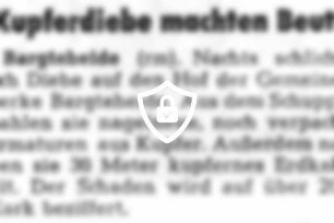 Kupferdiebe machten Beute