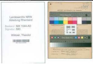 Entnazifizierung Theodor Wildoer , geb. 04.03.1921 ()