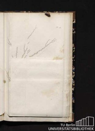 Pl. II. 4e. Taille.