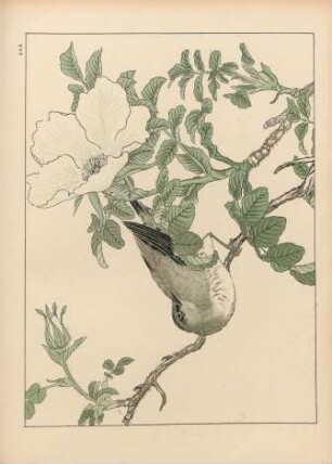 AAA [Fleurs et Oiseaux, école de Shijo]
