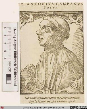 Bildnis Giovanni Antonio Campano