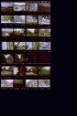 BGS 77 - Bundesgartenschau, 29.04.-23.10.1977, Stuttgart (168)