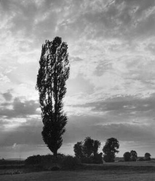 Abendstimmung