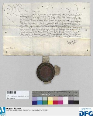 König Maximilian I. stellt der Stadt Nürnberg Quittung aus über die gewöhnliche Stadtsteuer.