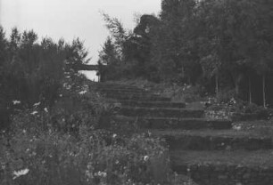 Steintreppe im Garten : Blick auf eine Steintreppe im Garten der Familie Küstermann